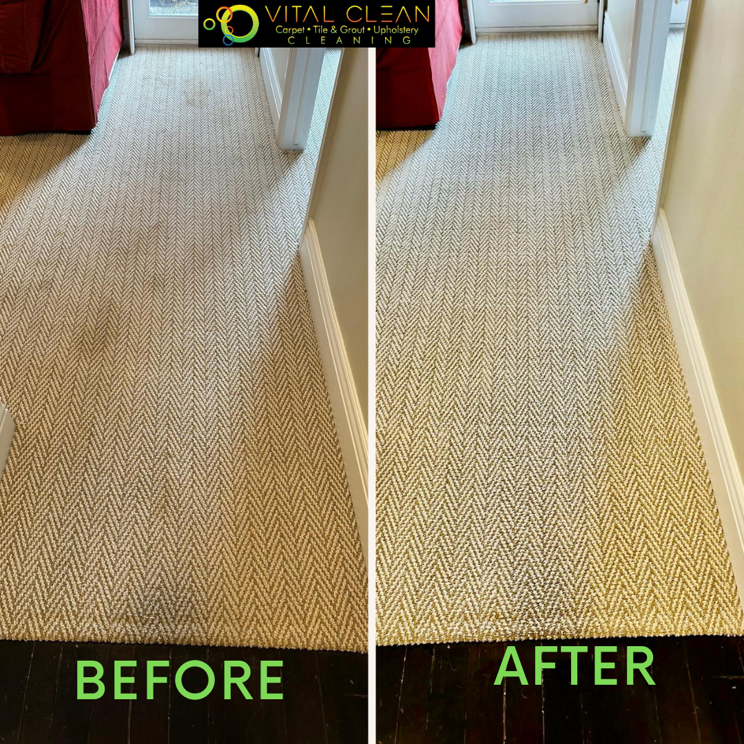 Vital Clean Carpet Cleaning Image
